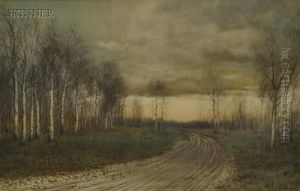Country Road Lined With Birch Trees In Late Autumn