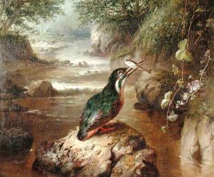 The Haunt of the Kingfisher by John Wainwright