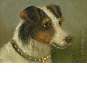 Jack Russell Terrier