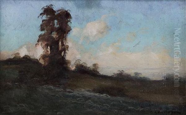 Paesaggio - view 1