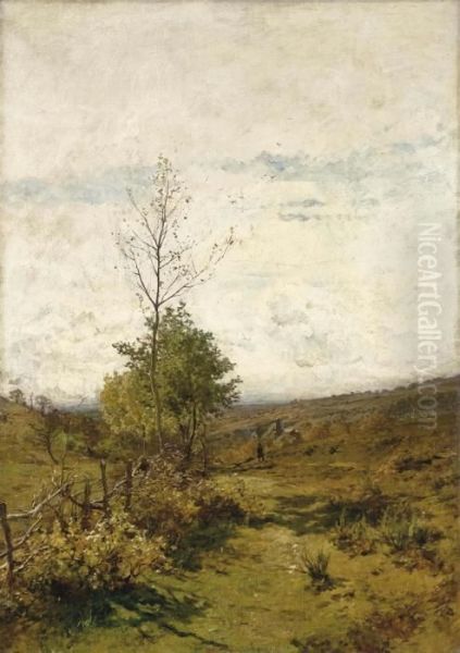 Paesaggio - view 1