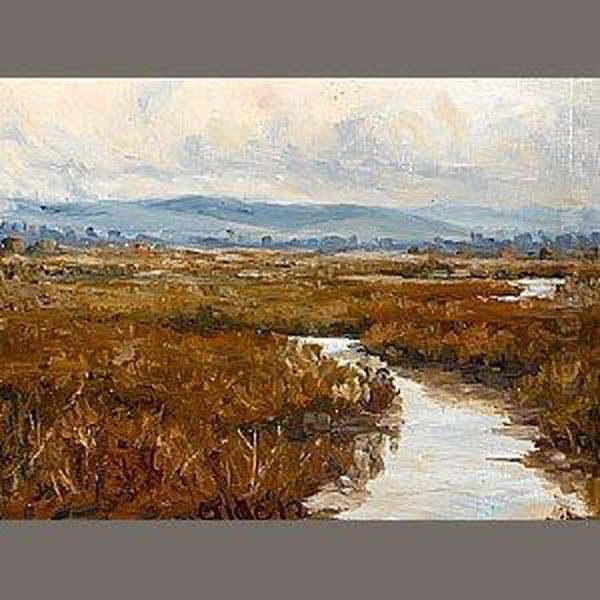 Marsh Land - view 1