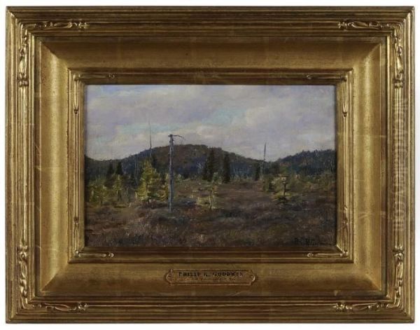 Western Plains Landscape - view 1