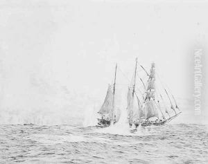 Q-boat Probus Q-boat Probus