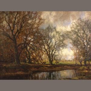 Cattle Alongside A Creek