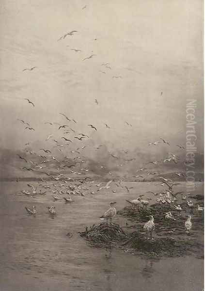 Gulls. Looking towards Cowes from the Hamble River - view 1
