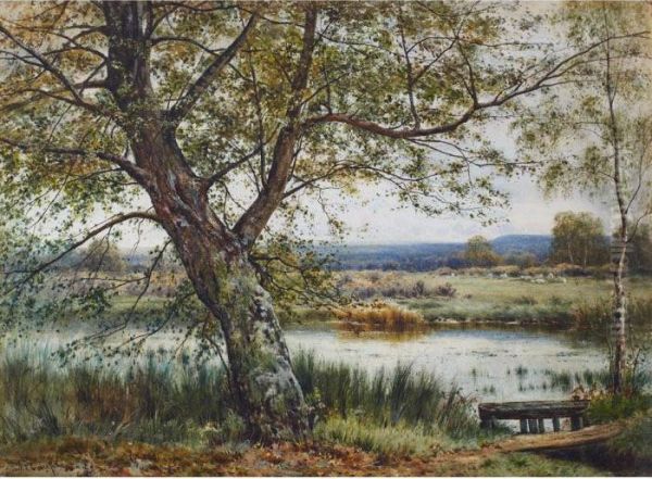 Sheep Grazing By The River - view 1