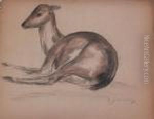 Jeune Gazelle by Sam Granowsky
