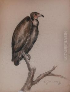 Vautour Perche Vautour Perche