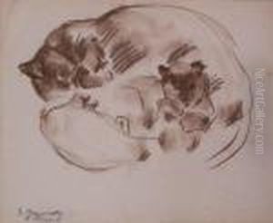 Chatte Et Son Chaton Chatte Et Son Chaton