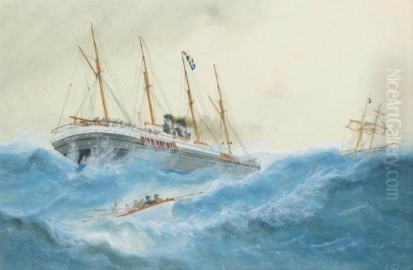 The Oriental Steam Navigation Co.'s S.s.
Orient - view 1
