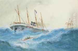 The Oriental Steam Navigation Co.'s S.s. 
Orient