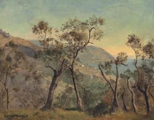 Summer Landscape