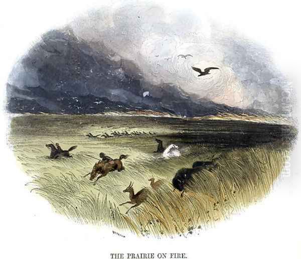 Prairie on Fire, from Phenomena of Nature, 1849 - view 1