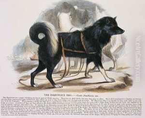 The Esquimaux Dog (Canis familiaris) educational illustration pub. by the Society for Promoting Christian Knowledge, 1843