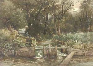 A quiet nook on the Test, Hampshire by Josiah Wood Whymper
