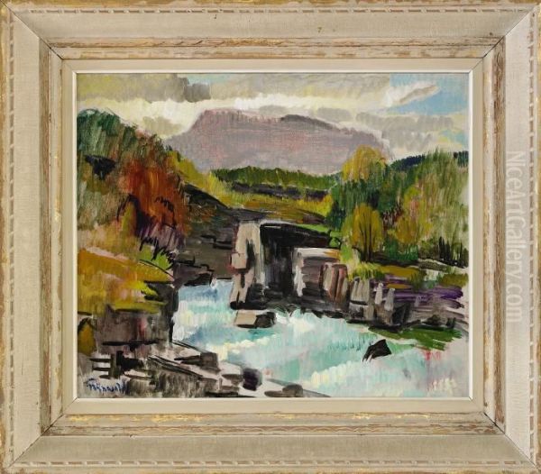Abiskoravinen - view 1