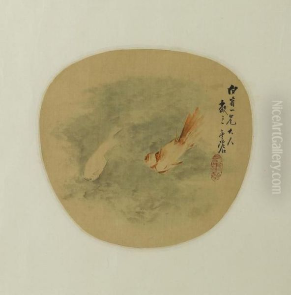 Gold Fish - view 1