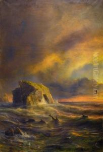 Un Soir Sur Les Cotes De La Mer Du Nord