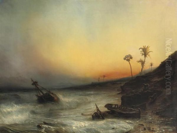 Prowling Along A Tropical Coast At Sunset - view 1