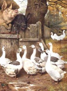 Farmyard Friends by William Weeks