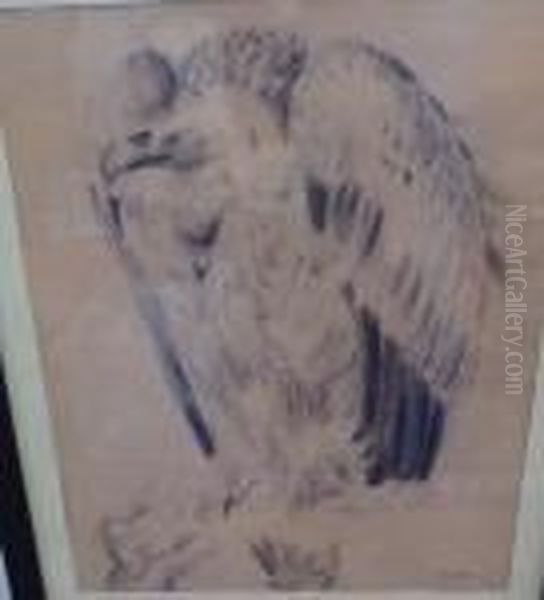 Rapace - view 1