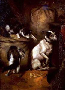 How Dare You by William Weeks