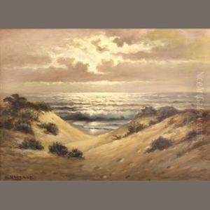 Sand Dunes At Sunset by Nels Hagerup