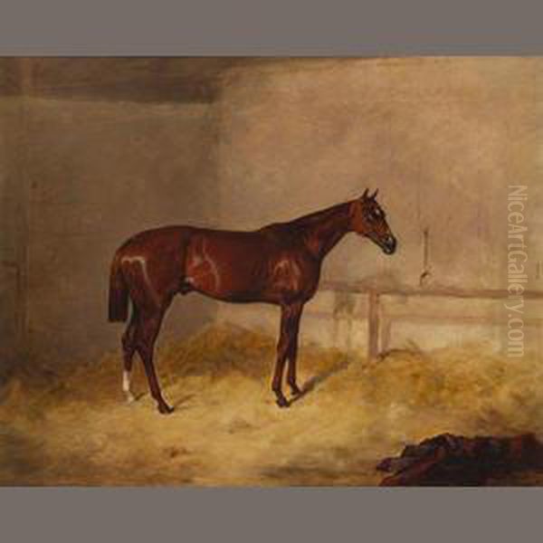 A Bay Hunter In A Barn - view 1