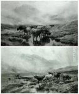 Flooded Pastures