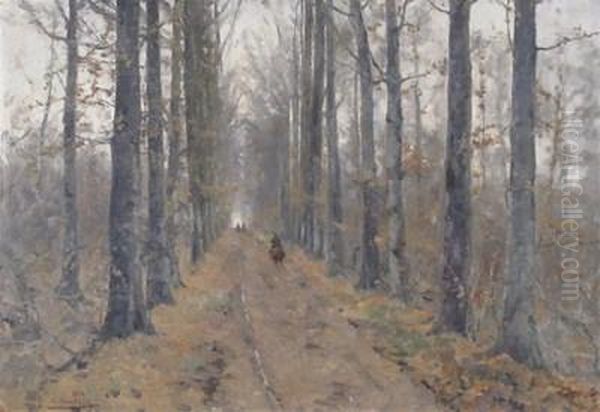 Foret De Soignes - view 1