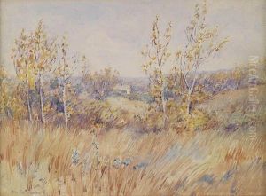 Spring Field