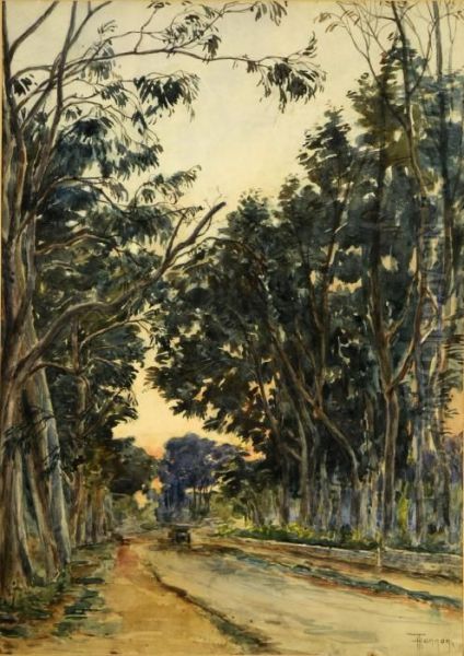 Chemin Arbore - view 1