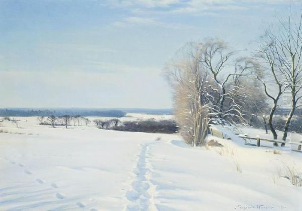 Footprints In The Snow - view 1