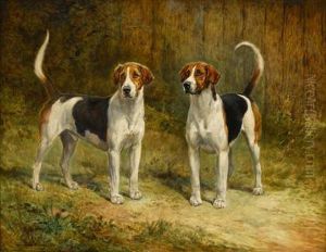 Fox Hounds
