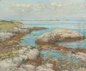Rocks At Appledore, Morning