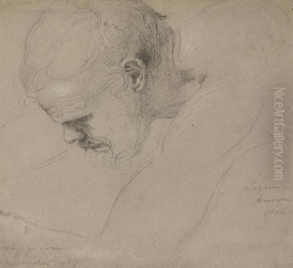 Study For The Head Of Lazarus In 'the Entrance Of Christ Into Jerusalem' - view 1