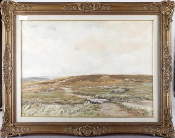 Moorland Scene With Sheep Grazing - view 1