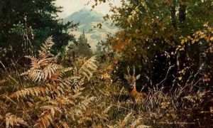 Stag In Landscape by Alan Hayman