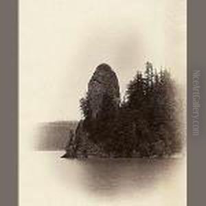 Vignette/rooster Rock