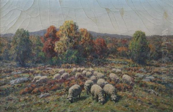 Sheep In Pasture - view 1