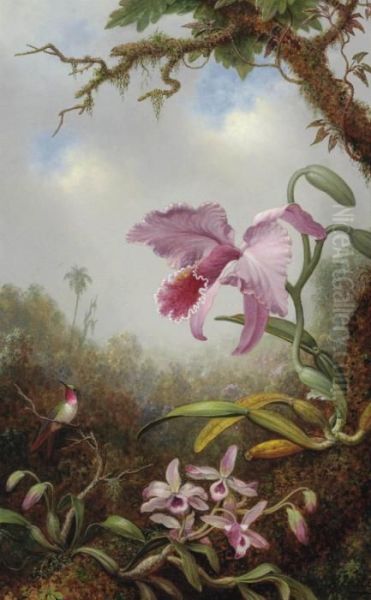 Hummingbird And Two Types Of Orchids - view 1