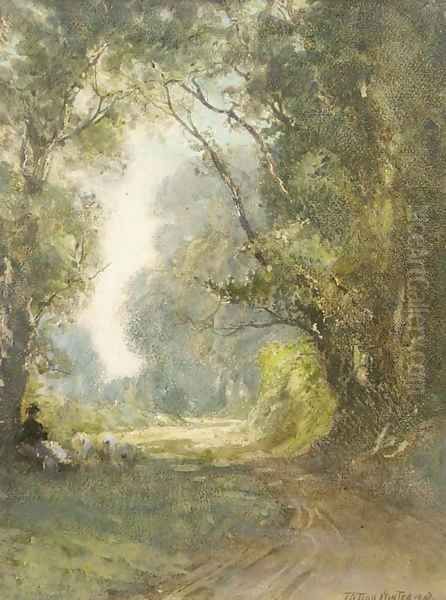 A shady lane - view 1