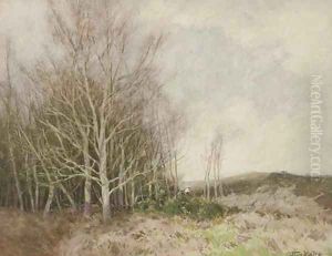 The sunlit copse by William Tatton Winter