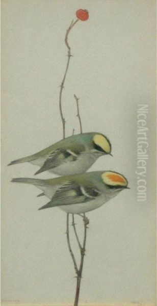 Perching Birds: Two - view 1