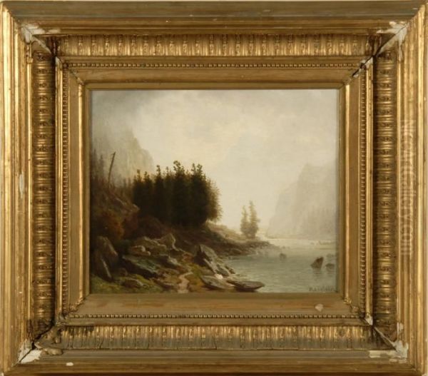 Mountain Lake - view 1