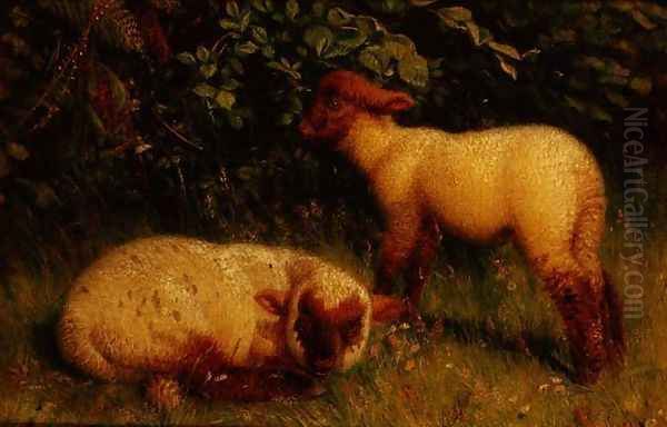 Lambs by William J. Webbe or Webb