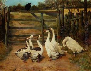 The Sermon - A Raven Addressing a Gaggle of Geese