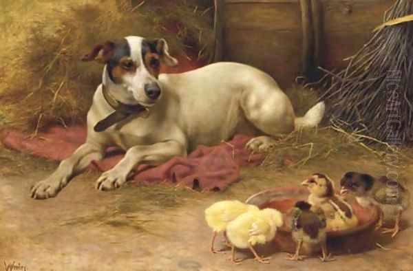 Guarding the chicks - view 1
