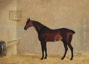 A Bay Racehorse In A Stable